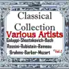 Orchestra \ - Various Artists: Classical Collection, Vol. 2